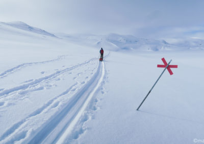 Markend Winter Trail, près de Valffojavri, entre Unna Allakas et Katterjakk