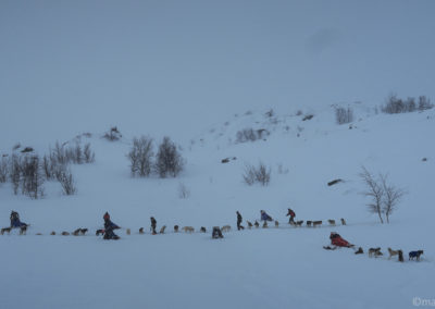 Les mushers se préparent à Unna Allakas