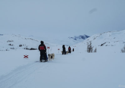 5 traîneaux à chiens en Laponie suédoise