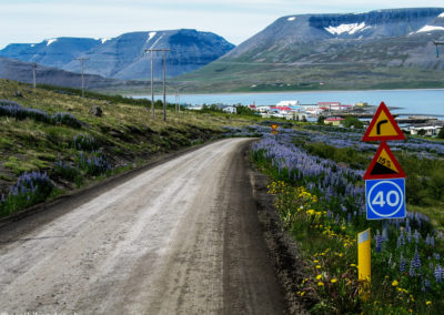 Fjords de l'ouest à vélo