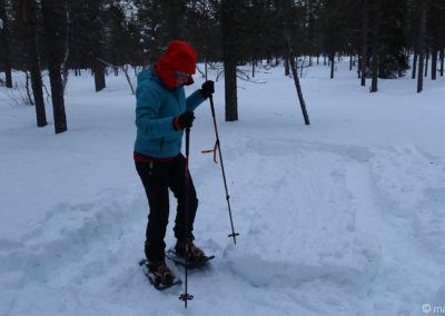 Urho Kekkonen en skis et pulka 2024