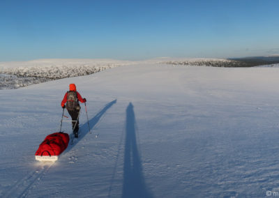 Urho Kekkonen en skis et pulka 2024
