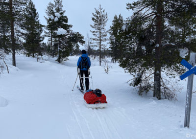Urho Kekkonen en skis et pulka 2024