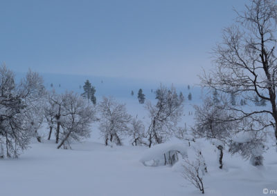 Urho Kekkonen en skis et pulka 2024