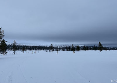 Urho Kekkonen en skis et pulka 2024