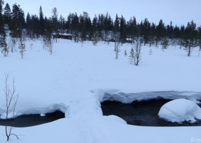 Urho Kekkonen en skis et pulka 2024