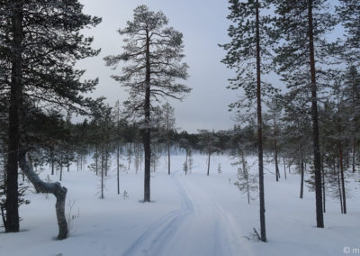 Urho Kekkonen en skis et pulka 2024