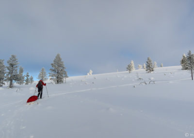 Urho Kekkonen en skis et pulka 2024