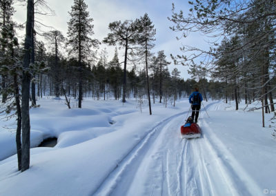 Urho Kekkonen en skis et pulka 2024