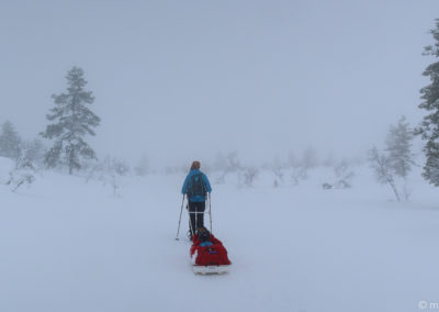 Urho Kekkonen en skis et pulka 2024